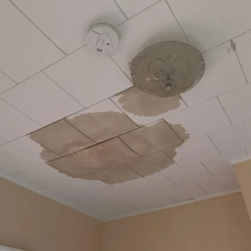 Ceiling Water Damage Repair in Rafael Hernandez, PR