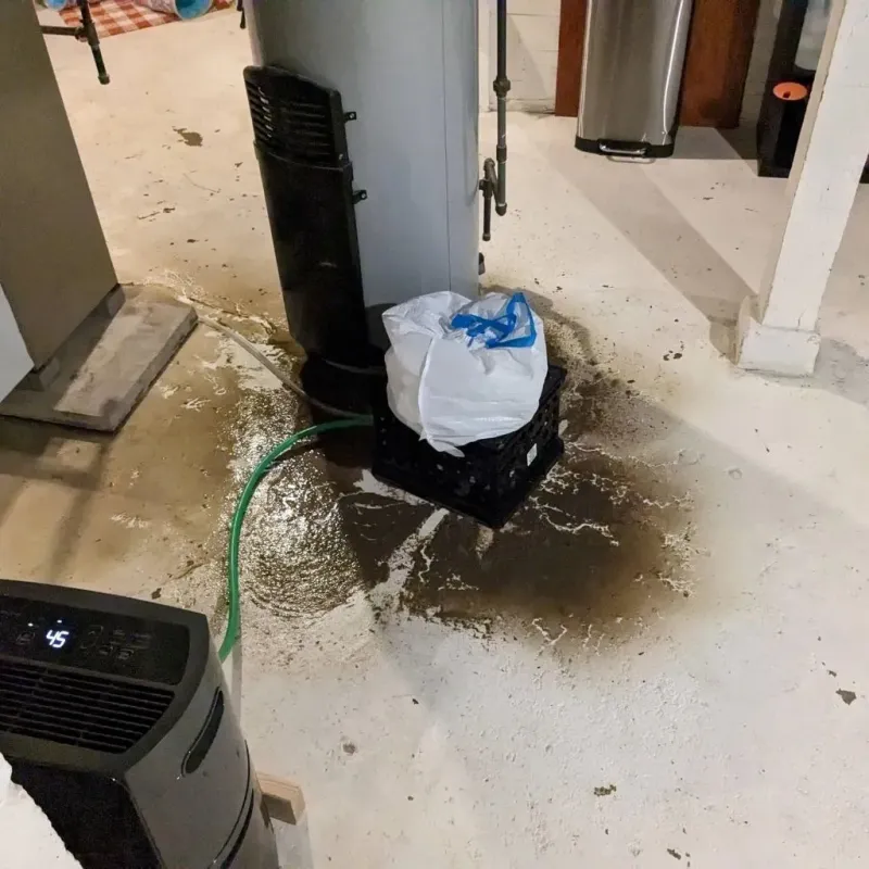Sewage Backup Cleanup Service in Rafael Hernandez, PR